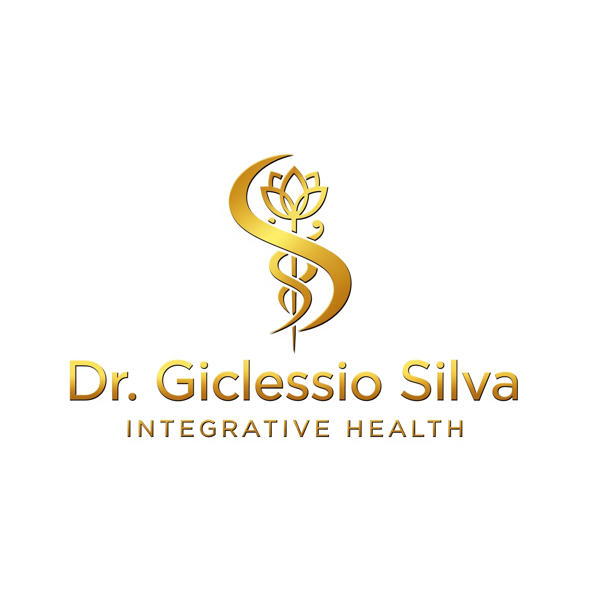 GICLESSIO SILVA