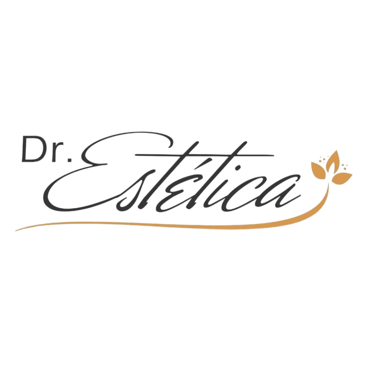 Dr. Bruno Gonçalves 